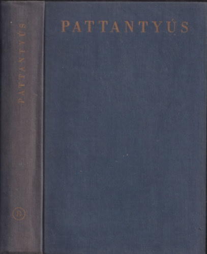 Vajta Mikl�s - Pattanty�s - g�p�sz- �s villamosm�rn�k�k k�zik�nyve 8.: Villamos energia