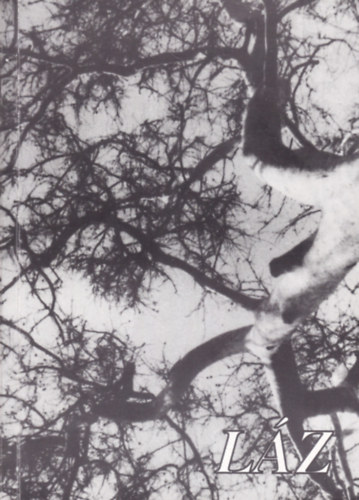 Kov�cs J. G�bor Szalai Vernon B�la - L�z - A k�lt� �s a farag�sz