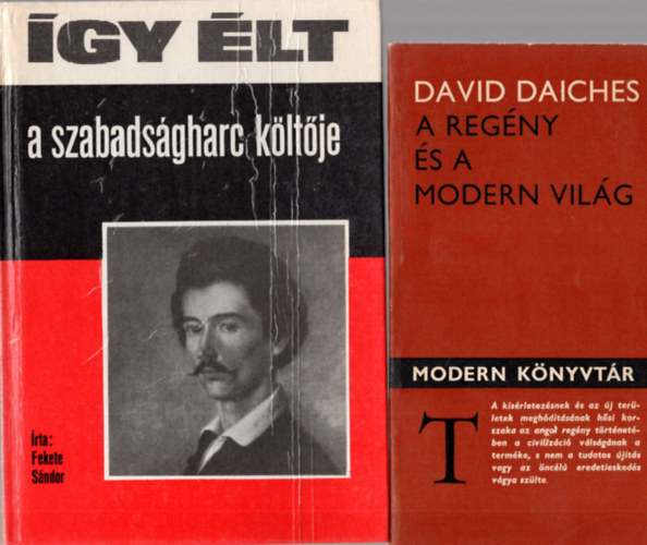 Pomogts Bla, David Daiches Tarnc Mrton - 4 db irodalomtrtnet ( egytt ) 1. A regny s a modern vilg, 2. gy lt - A szabadsgharc kltje, 3. Regnytkr, 4. Kettstkr