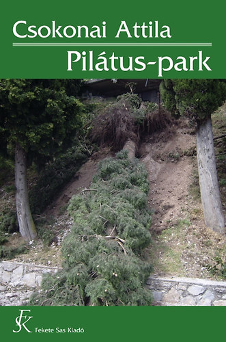 Csokonai Attila - Pilátus-park
