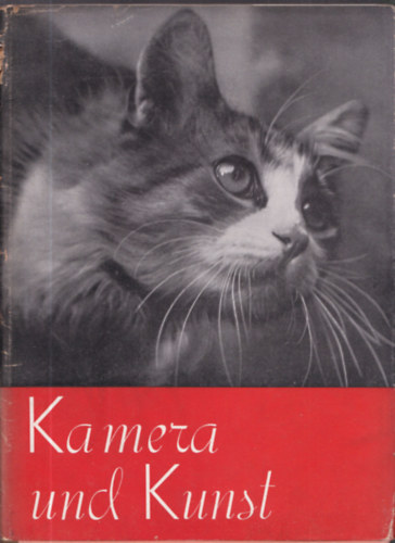 Thomas Kankowszky - Kamera und Kunst