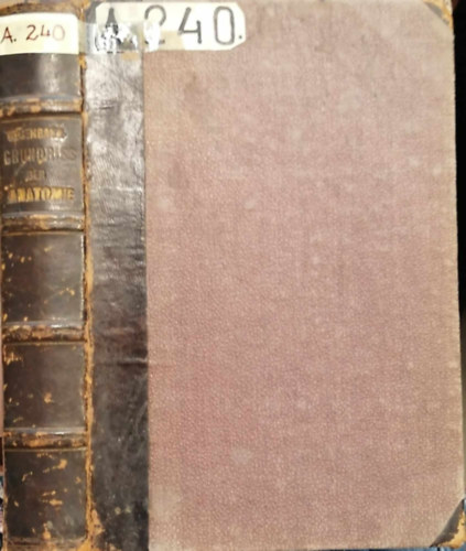 Carl Gegenbaur - Grundriss der vergleichenden anatomie