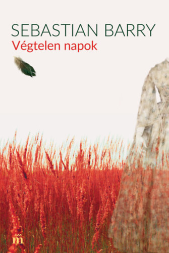 Sebastian Barry - V�gtelen napok
