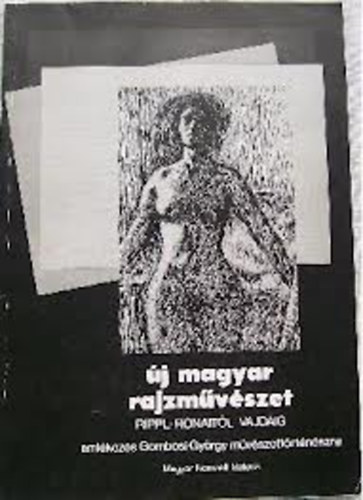 ri Gyngyi  (Szerk.) - j magyar rajzmvszet Rippl-Rnaitl Vajdig