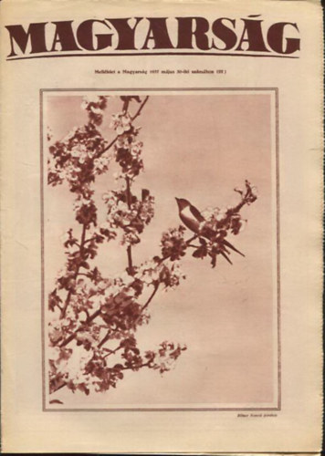 Magyarsg - Mellklet a Magyarsg 1937 mjus 30-iki szmhoz (22)