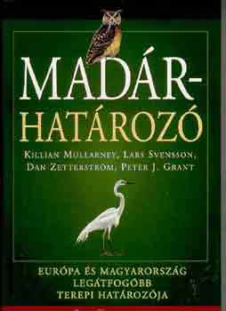 Dan Zetterstr�m, Killian Mullarney Lars Svensson - Mad�rhat�roz�