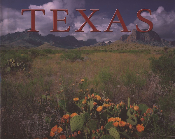 Elizabeth McLean  (szerk.) - Texas