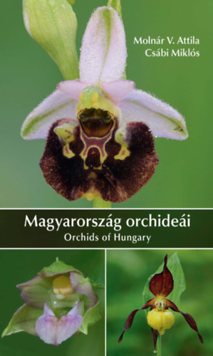 Molnár V. Attila Csábi Miklós - Magyarország orchideái