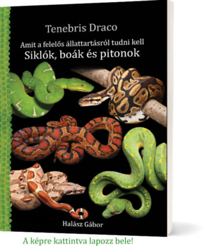 Halász Gábor - Siklók, boák és pitonok