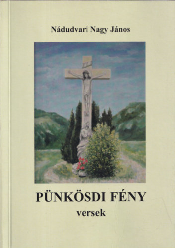 N�dudvari Nagy J�nos - P�nk�sdi f�ny