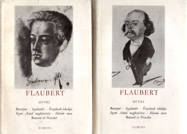 Gustave Flaubert - Flaubert mvei I-II.