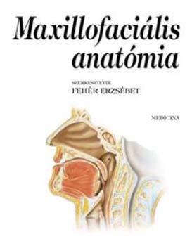 Fehr Erzsbet - Maxillofacialis anatmia