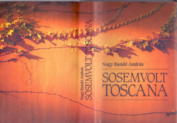 Nagy Band Andrs - Sosemvolt Toscana (Dediklt)