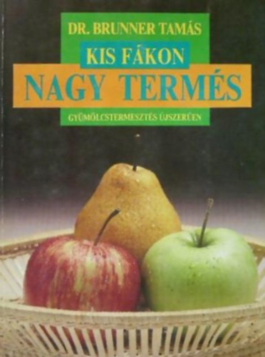 Dr. Brunner Tams - Kis fkon nagy terms