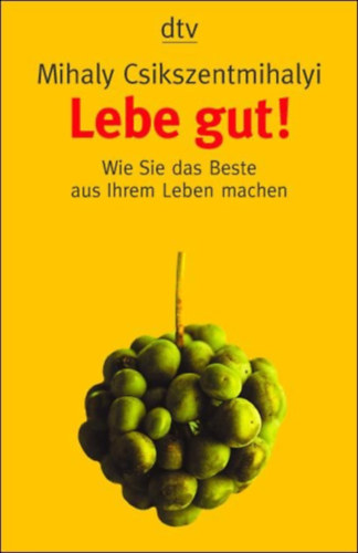 Mihaly Csikszentmihalyi - Lebe gut!