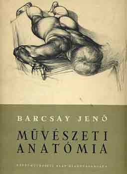 Barcsay Jen - Mvszeti anatmia