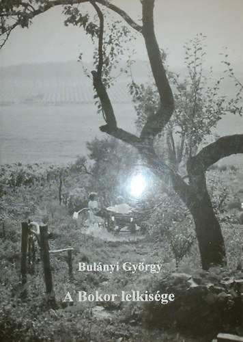 Bulnyi Gyrgy - A Bokor lelkisge