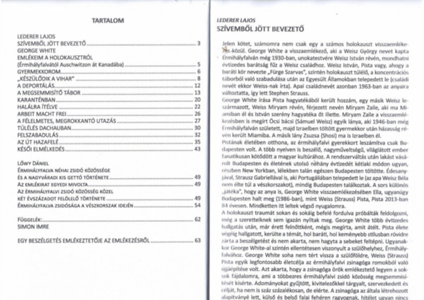 Dvid Sndor - 2 db Forma-1 sztorik: 2008. Dntetlen - egy pilanatig  + 2009. Jttek, lttak, gyztek.