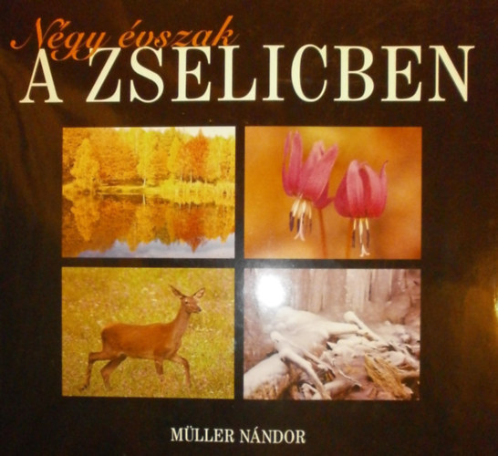 Mller Nndor - Ngy vszak a Zselicben