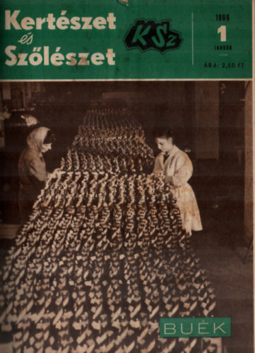 Dr. Feyér Piroska - Kertészet és szőlészet 1966. teljes évfolyam, - egybekötve. (teljes)