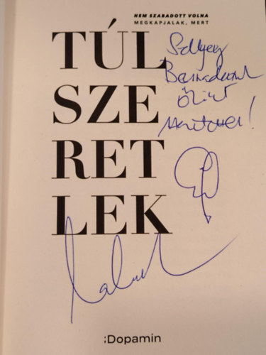 Lakatos Levente - Tlszeretlek