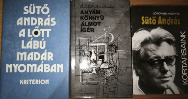 S�t� Andr�s G�r�mbei Andr�s - 3db S�t� Andr�ssal kapcsolatos m� - G�r�mbei Andr�s-S�t� Andr�s, S�t� Andr�s-Any�m k�nny� �lmot �g�r, A l�tt l�b� mad�r nyom�ban