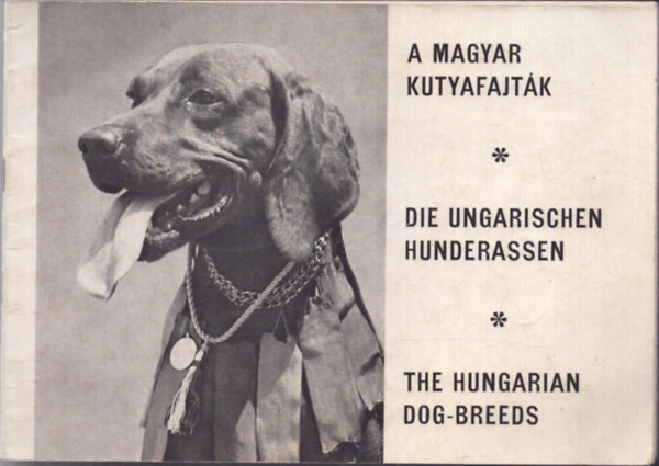 Magyar Ebteny�szt�l Orsz�gos Egyes�lete - A magyar kutyafajt�k - Die ungarischen Hunderassen - The hungarian dog