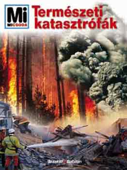 Rainer Crummenerl - Természeti katasztrófák